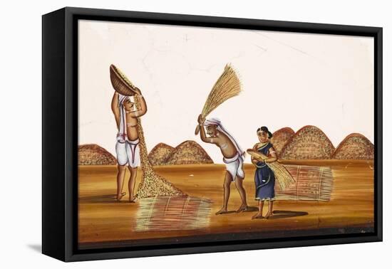 Farmers in a Field at a Time of Harvesting, from Thanjavur, India-null-Framed Stretched Canvas