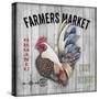 Farmers Market 2-Jean Plout-Stretched Canvas