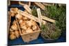 Farmers Market II-Erin Berzel-Mounted Photographic Print