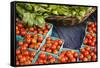 Farmers Market; Portland, Oregon-Justin Bailie-Framed Stretched Canvas