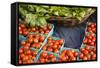 Farmers Market; Portland, Oregon-Justin Bailie-Framed Stretched Canvas