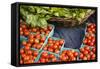 Farmers Market; Portland, Oregon-Justin Bailie-Framed Stretched Canvas