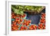 Farmers Market; Portland, Oregon-Justin Bailie-Framed Photographic Print