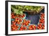 Farmers Market; Portland, Oregon-Justin Bailie-Framed Photographic Print