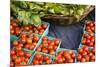 Farmers Market; Portland, Oregon-Justin Bailie-Mounted Photographic Print