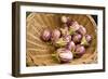 Farmers Market; Portland, Oregon-Justin Bailie-Framed Photographic Print