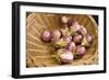 Farmers Market; Portland, Oregon-Justin Bailie-Framed Photographic Print