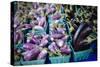 Farmers Market; Portland, Oregon-Justin Bailie-Stretched Canvas