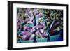 Farmers Market; Portland, Oregon-Justin Bailie-Framed Photographic Print