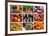 Farmers Market Produce, Connecticut-Mallorie Ostrowitz-Framed Premium Photographic Print