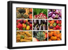 Farmers Market Produce, Connecticut-Mallorie Ostrowitz-Framed Photographic Print