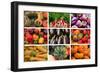 Farmers Market Produce, Connecticut-Mallorie Ostrowitz-Framed Photographic Print