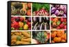 Farmers Market Produce, Connecticut-Mallorie Ostrowitz-Framed Stretched Canvas