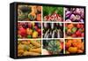 Farmers Market Produce, Connecticut-Mallorie Ostrowitz-Framed Stretched Canvas