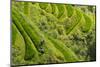 Farmers on the Rice Terrace, Longsheng, Guangxi Province, China-Keren Su-Mounted Photographic Print