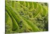 Farmers on the Rice Terrace, Longsheng, Guangxi Province, China-Keren Su-Stretched Canvas