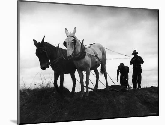 Farmers Preparing the Ground For Spring Planting-Carl Mydans-Mounted Photographic Print