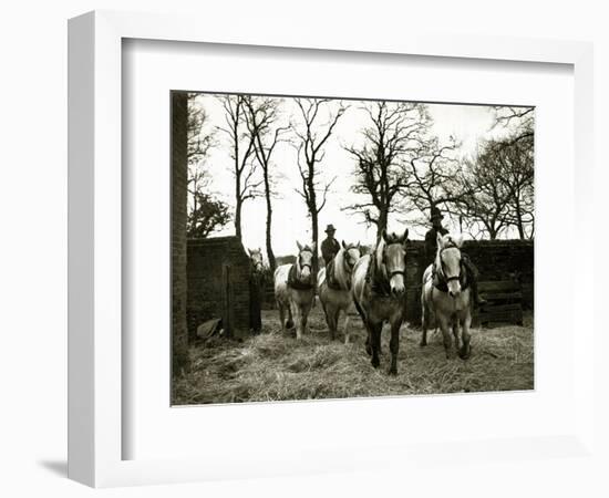 Farmers Riding Their Horses Back to the Stables, 1935-null-Framed Photographic Print