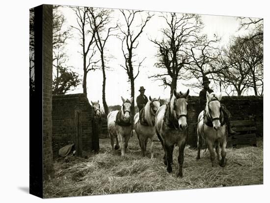 Farmers Riding Their Horses Back to the Stables, 1935-null-Stretched Canvas