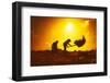 Farmers Silhouettes at Sunset. Rice Grain Threshing during Harvest Time in Northern Thailand-Banana Republic images-Framed Photographic Print