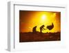 Farmers Silhouettes at Sunset. Rice Grain Threshing during Harvest Time in Northern Thailand-Banana Republic images-Framed Photographic Print