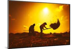 Farmers Silhouettes at Sunset. Rice Grain Threshing during Harvest Time in Northern Thailand-Banana Republic images-Mounted Photographic Print