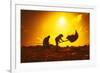 Farmers Silhouettes at Sunset. Rice Grain Threshing during Harvest Time in Northern Thailand-Banana Republic images-Framed Photographic Print