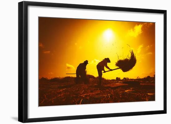 Farmers Silhouettes at Sunset. Rice Grain Threshing during Harvest Time in Northern Thailand-Banana Republic images-Framed Photographic Print