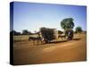 Farmers with Donkey Carts, Burkina Faso, West Africa-Ellen Clark-Stretched Canvas