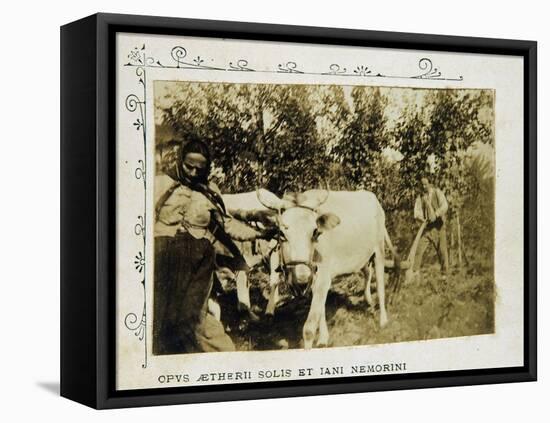 Farmers with Plow Pulled by Oxen-Giovanni Pascoli-Framed Stretched Canvas