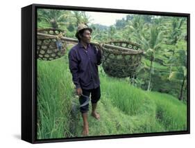 Farmers Work in Rice Terraces, Bali, Indonesia-Paul Souders-Framed Stretched Canvas