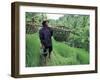 Farmers Work in Rice Terraces, Bali, Indonesia-Paul Souders-Framed Photographic Print