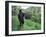 Farmers Work in Rice Terraces, Bali, Indonesia-Paul Souders-Framed Photographic Print