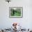 Farmers Work in Rice Terraces, Bali, Indonesia-Paul Souders-Framed Photographic Print displayed on a wall