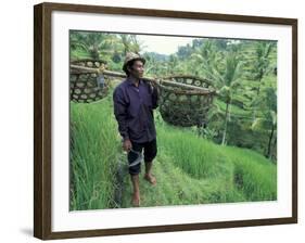 Farmers Work in Rice Terraces, Bali, Indonesia-Paul Souders-Framed Photographic Print