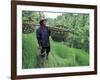 Farmers Work in Rice Terraces, Bali, Indonesia-Paul Souders-Framed Photographic Print