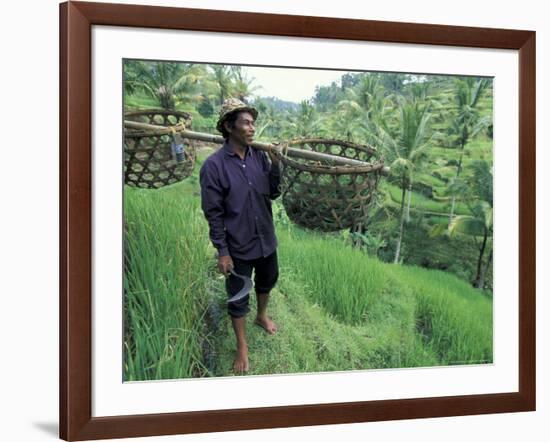 Farmers Work in Rice Terraces, Bali, Indonesia-Paul Souders-Framed Photographic Print