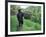 Farmers Work in Rice Terraces, Bali, Indonesia-Paul Souders-Framed Photographic Print