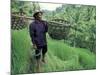 Farmers Work in Rice Terraces, Bali, Indonesia-Paul Souders-Mounted Photographic Print