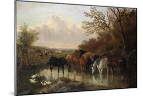 Farmhorses Watering in a Wooded River Landscape-Henry Thomas Alken-Mounted Giclee Print