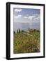 Farmhouse and cultivated fields overlooking the sea, Pomonte, Marciana, Elba Island, Livorno Provin-Roberto Moiola-Framed Photographic Print