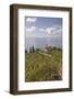 Farmhouse and cultivated fields overlooking the sea, Pomonte, Marciana, Elba Island, Livorno Provin-Roberto Moiola-Framed Photographic Print