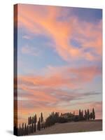 Farmhouse and Cypress Trees at Sunset, Tuscany, Italy-Peter Adams-Stretched Canvas