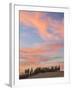 Farmhouse and Cypress Trees at Sunset, Tuscany, Italy-Peter Adams-Framed Photographic Print
