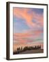 Farmhouse and Cypress Trees at Sunset, Tuscany, Italy-Peter Adams-Framed Photographic Print