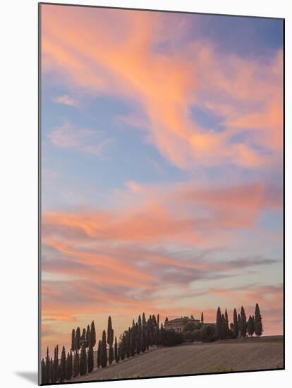 Farmhouse and Cypress Trees at Sunset, Tuscany, Italy-Peter Adams-Mounted Photographic Print