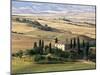 Farmhouse and Cypress Trees in the Early Morning, San Quirico d'Orcia, Tuscany, Italy-Ruth Tomlinson-Mounted Photographic Print
