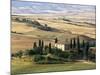 Farmhouse and Cypress Trees in the Early Morning, San Quirico d'Orcia, Tuscany, Italy-Ruth Tomlinson-Mounted Photographic Print