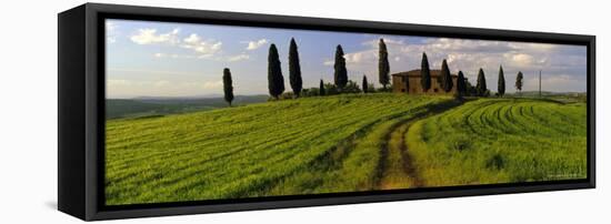 Farmhouse and Cypress Trees Near Pienza, Tuscany, Italy, Europe-Lee Frost-Framed Stretched Canvas