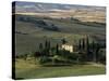 Farmhouse and Cypress Tres in the Earning Morning, San Quirico d'Orcia, Tuscany, Italy-Ruth Tomlinson-Stretched Canvas